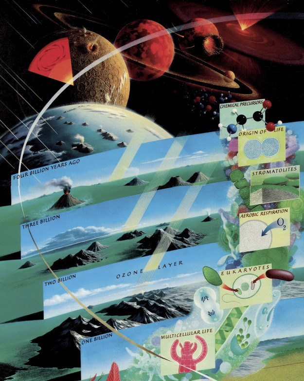 Volcanoes ruled the Earth Volcanoes ruled the Earth